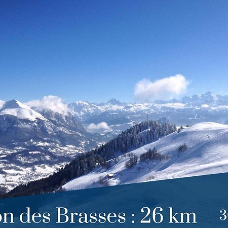 Homey The Nest - New / Balcon Prive / Free Parking Annemasse Bagian luar foto